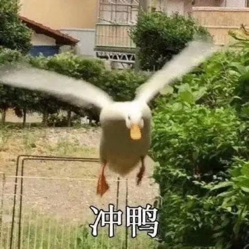 名校名企联手打造区域教育新高地,打造比肩东西海的教育强区