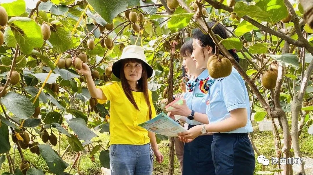 使命感和荣誉感,国有企业的担当和责任