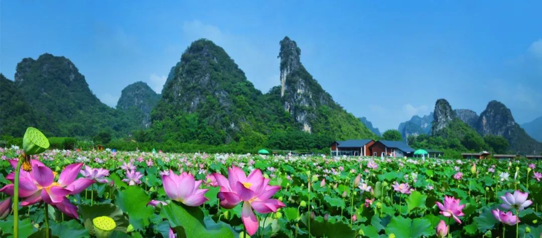 广州清远一日游必去景点,清远宝墩湖附近旅游攻略