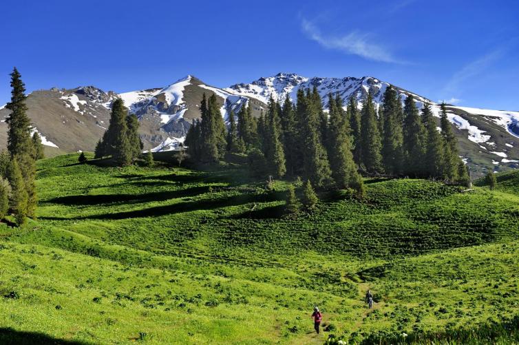 上海农家乐一日游推荐,上海崇明农家乐三日游