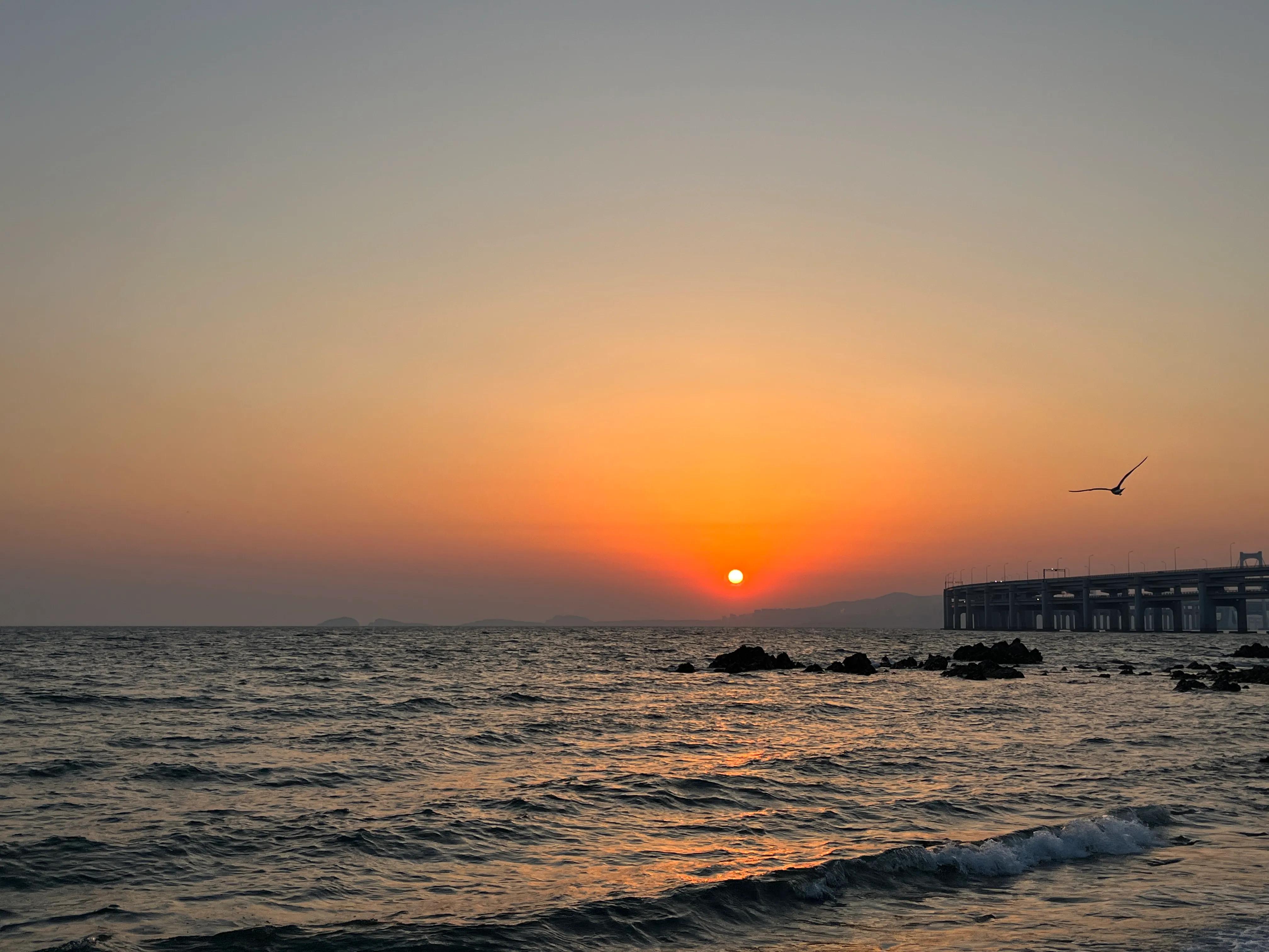 大连渤海旅游攻略最新,北国之春大连旅游攻略