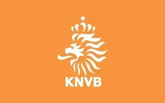 世界杯32强巡礼荷兰,世界杯32强巡礼之威尔士