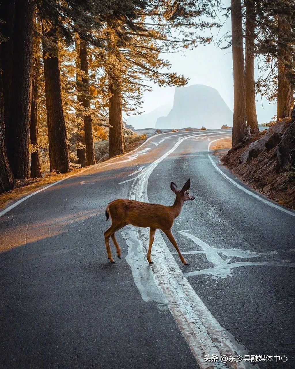 冬天最美的十种雅称,秋天的30个最美雅称你喜欢哪个