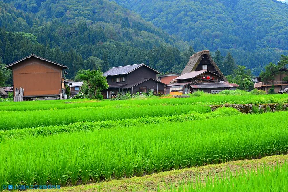 华高莱斯丨农业逆袭新思维——“粮袋子”如何变成“钱袋子”？