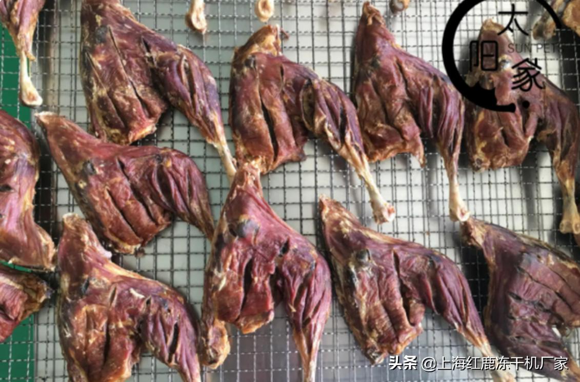 烘干机和冻干机到底有啥区别,狗狗零食烘干机跟冻干机哪个好用