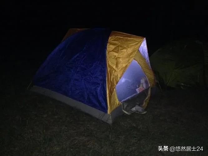 春行万里合集,春行新湖绿城