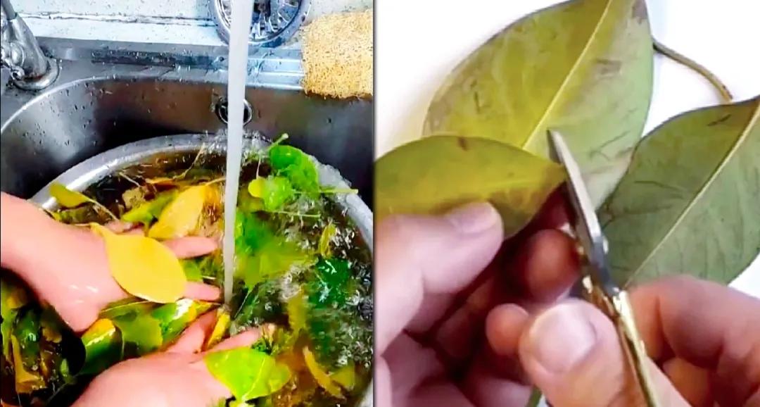 提高孩子画画造型能力,提高儿童绘画表达能力