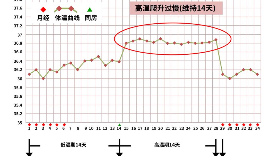精子在体外温度下能活多久,精子体外能存活时间