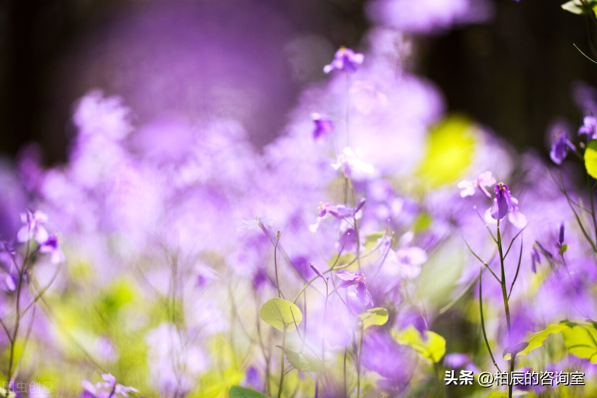 原配最狠的报复，不是杀敌一千，自损一千八