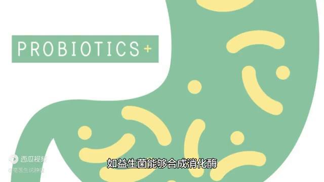 说说益生菌的那些事儿绘本,关于益生菌的论述