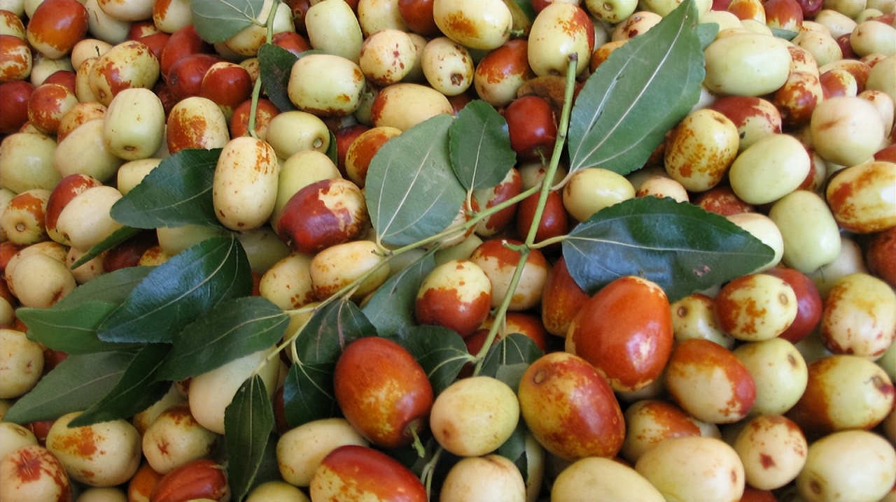 安县魔芋、平武果梅……四川绵阳的地标农产品个个都很赞