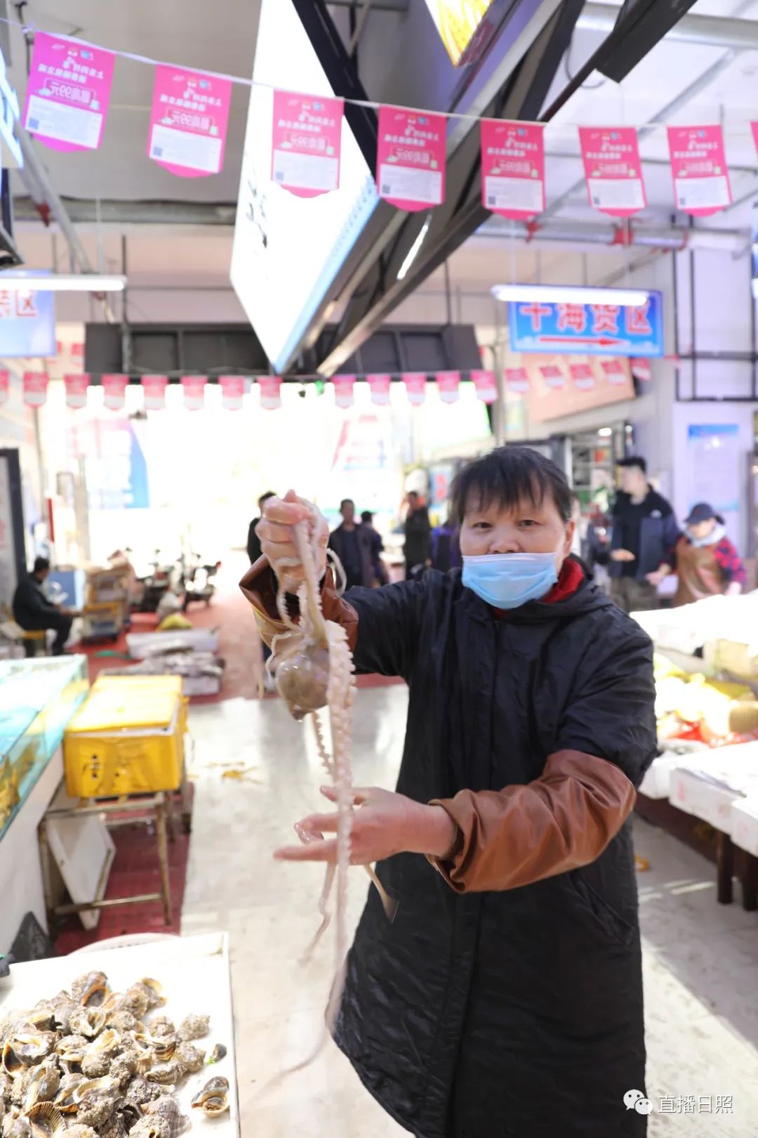 封海倒计时威海海鲜涨价了吗,封海前后海鲜价格对比