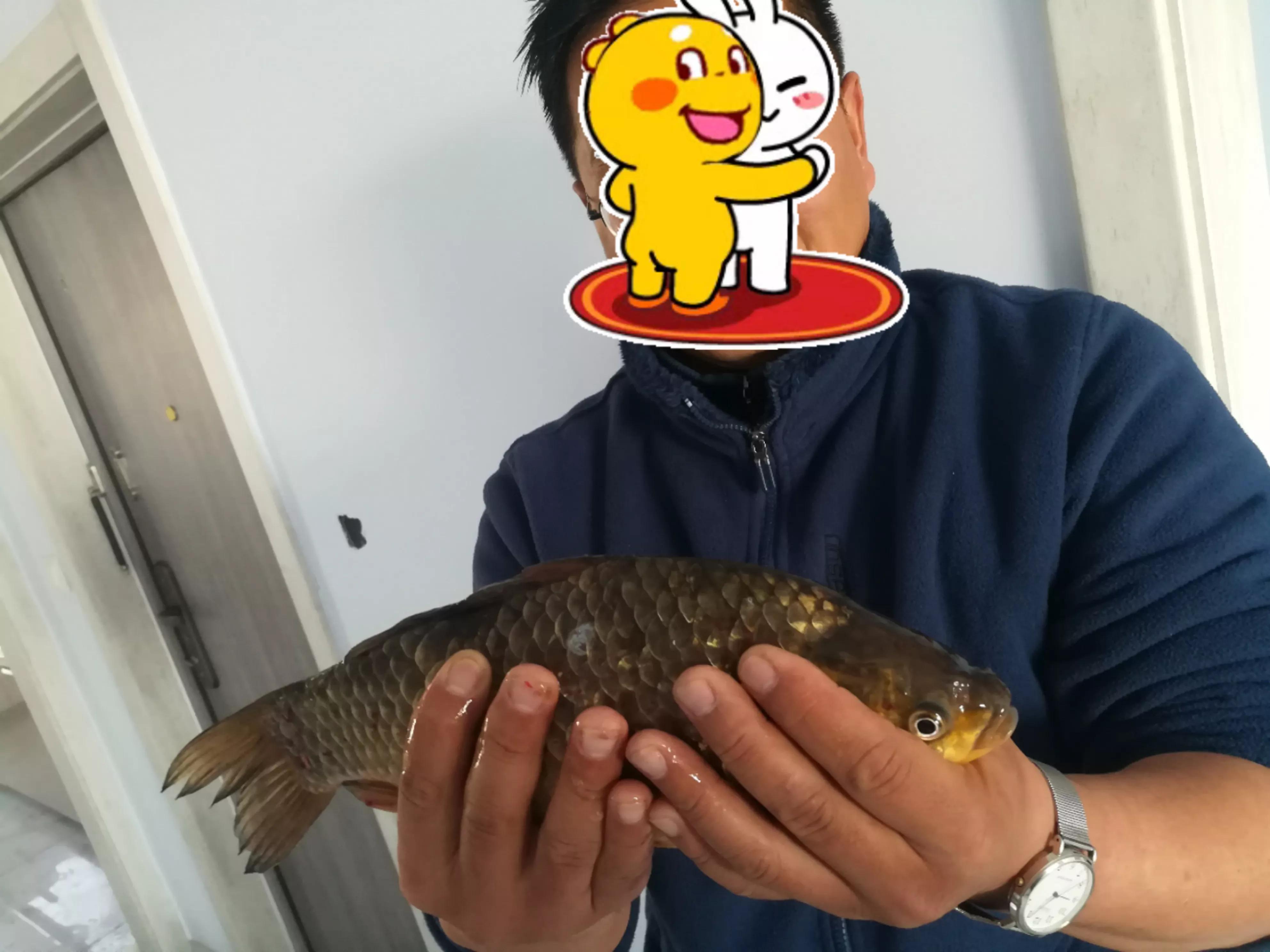 野钓传统钓鱼竿多少米最合适,传统钓鱼竿如何选购