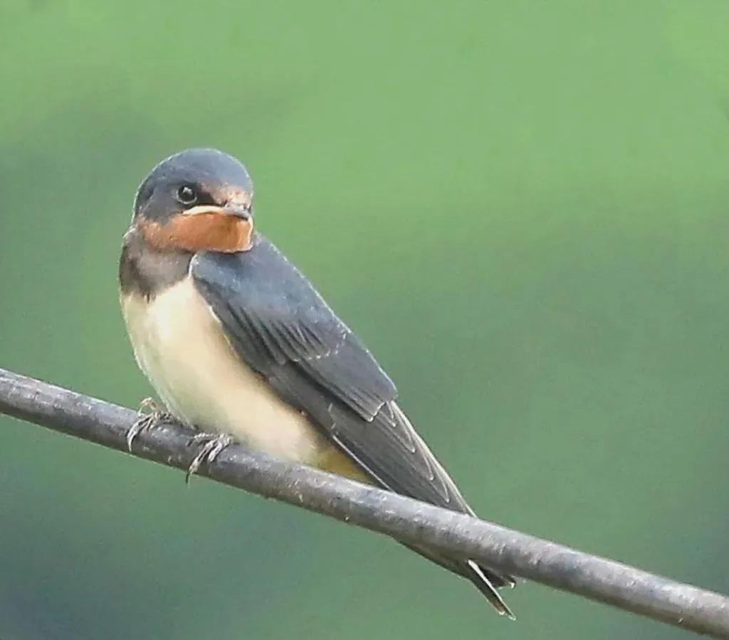 上海国际汽车城安亭,上海市嘉定区安亭国际汽车城