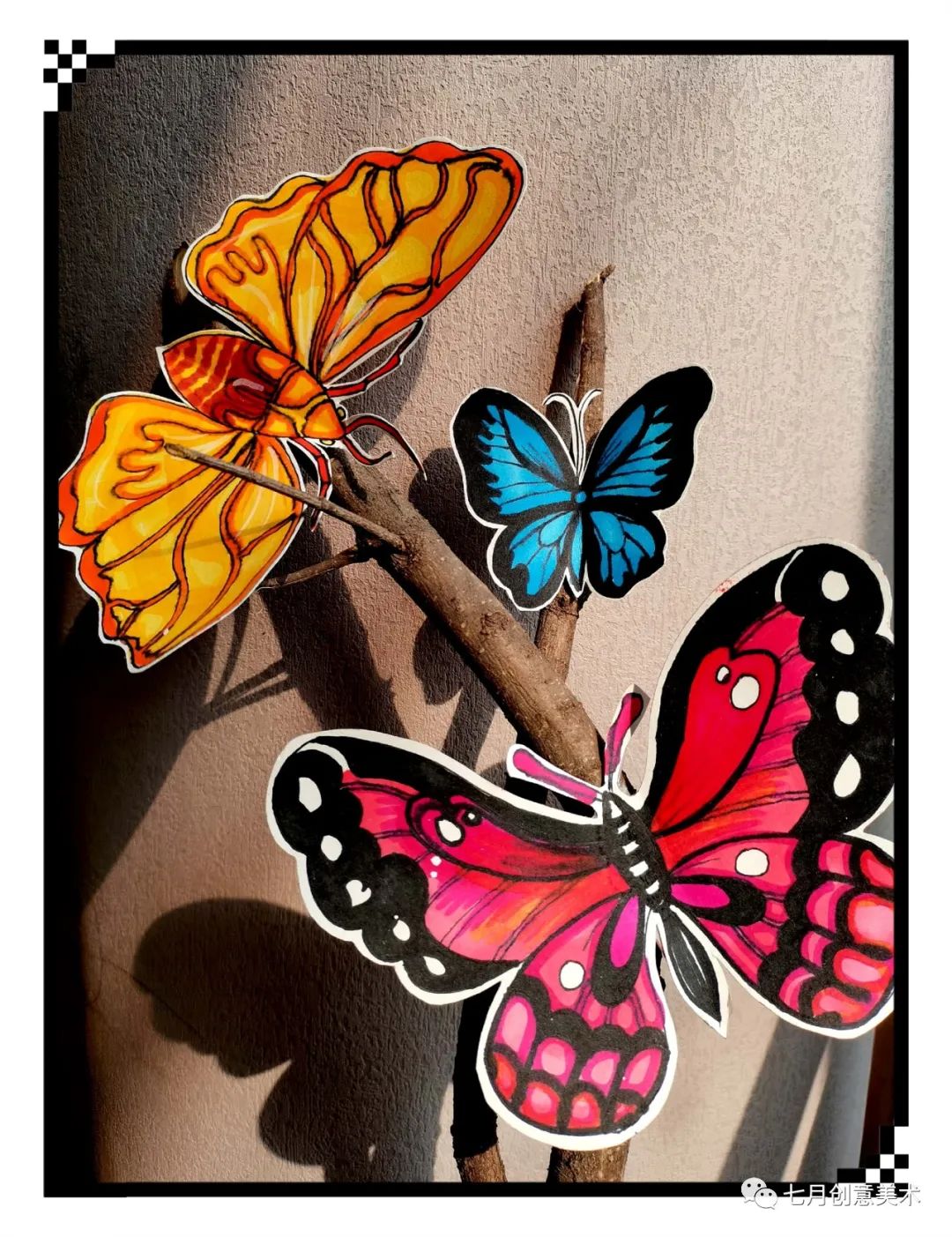 蝴蝶标本挂在墙上,蝴蝶标本制作方法