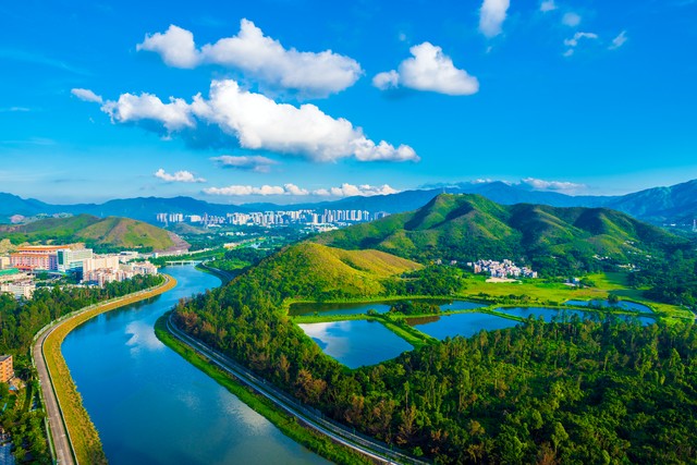 宁夏百年老枸杞,宁夏红枸杞美景