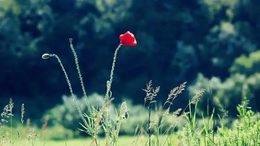 细数流年温暖时光,追忆往昔美好的年华