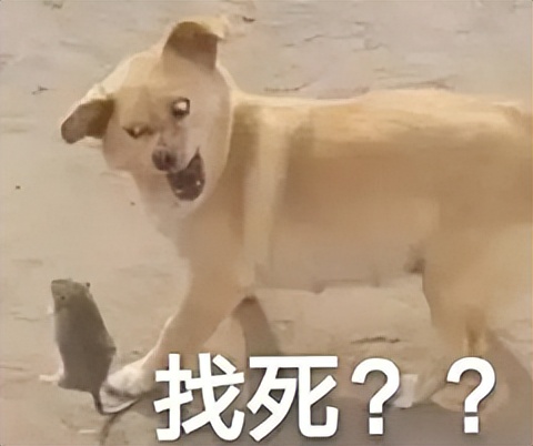 热血江湖17年,热血江湖15年前最火的3d网游