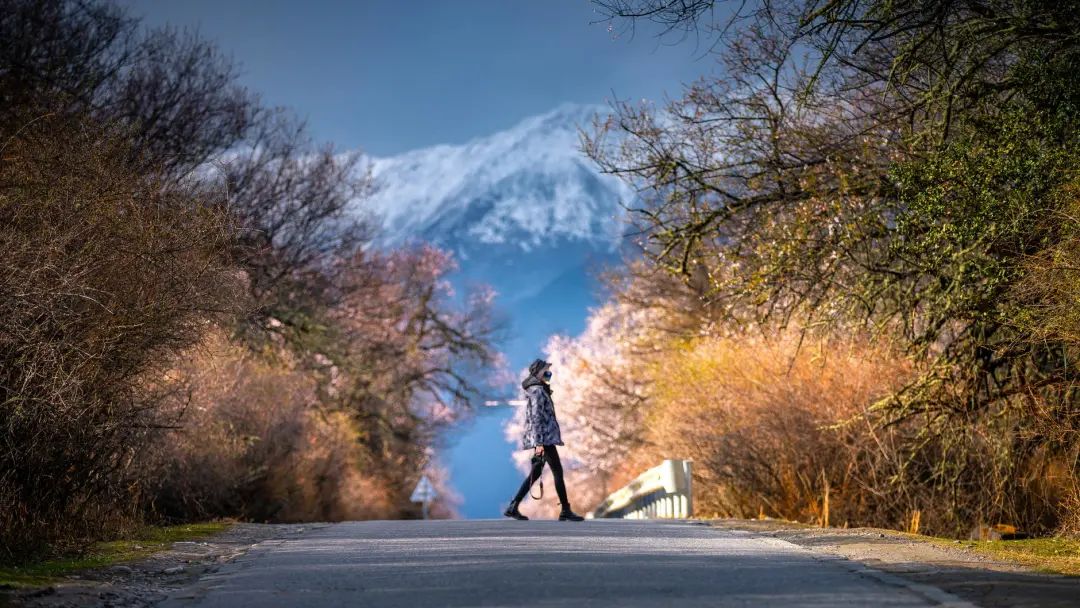 龙泉山看桃花徒步最佳路线,徒步穿越十里桃花漫山遍野