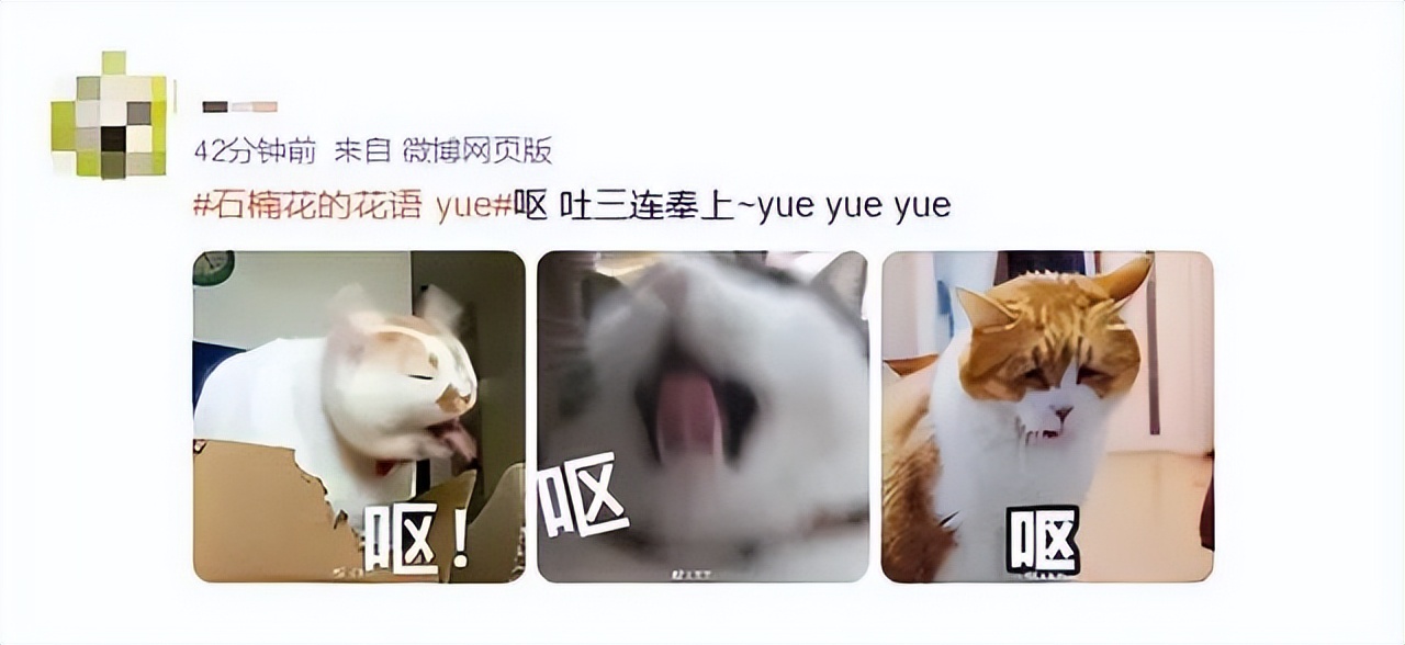 和石楠花一样很臭的花,石楠花是不是比桂花臭