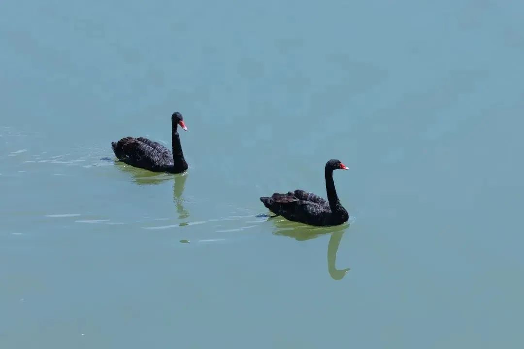 2019年厦门秋游,厦门高中秋游