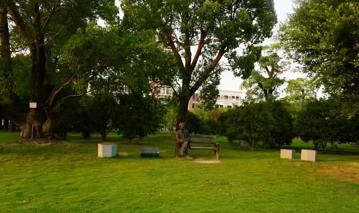 法国老太等中国初恋50年未嫁人,法国姑娘苦等初恋55年