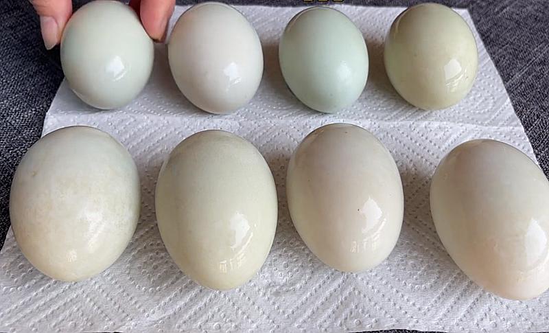 把白酒倒进鸭蛋里,把白酒倒在鸡蛋上怎么办