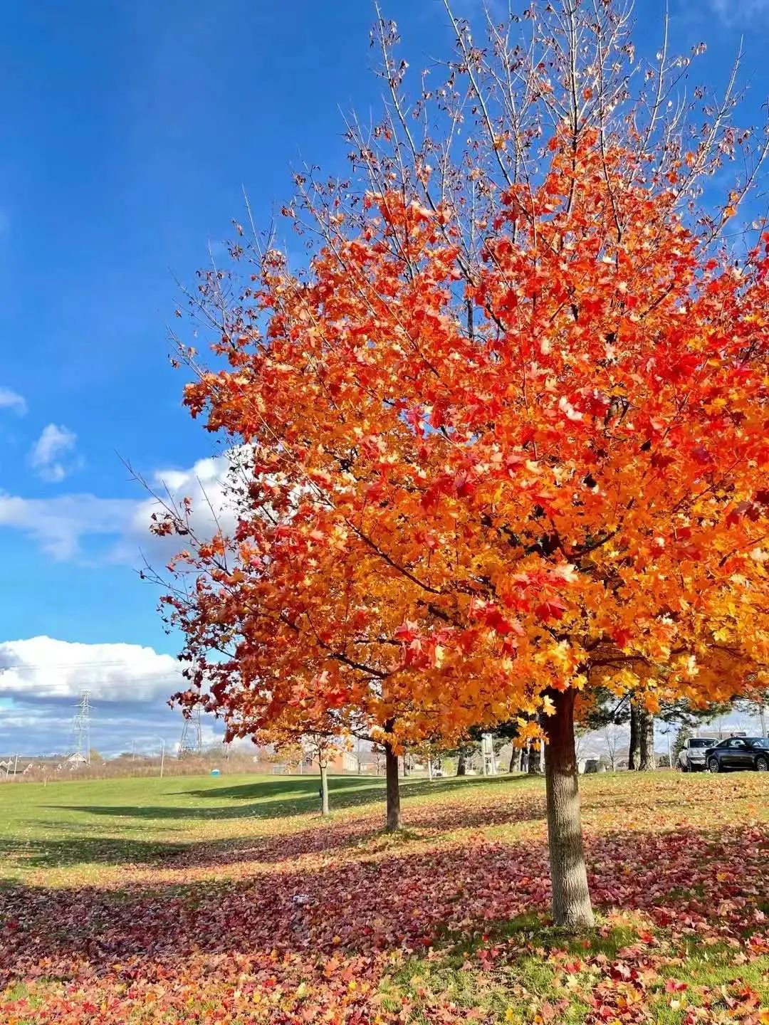 陪孩子学英语从零开始学习,孩子学英语干货