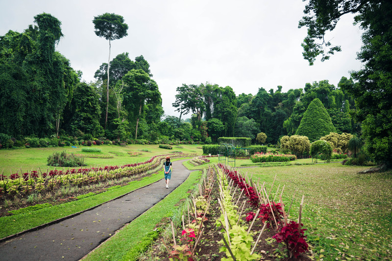 斯里兰卡旅游攻略必去景点,斯里兰卡最佳旅游攻略