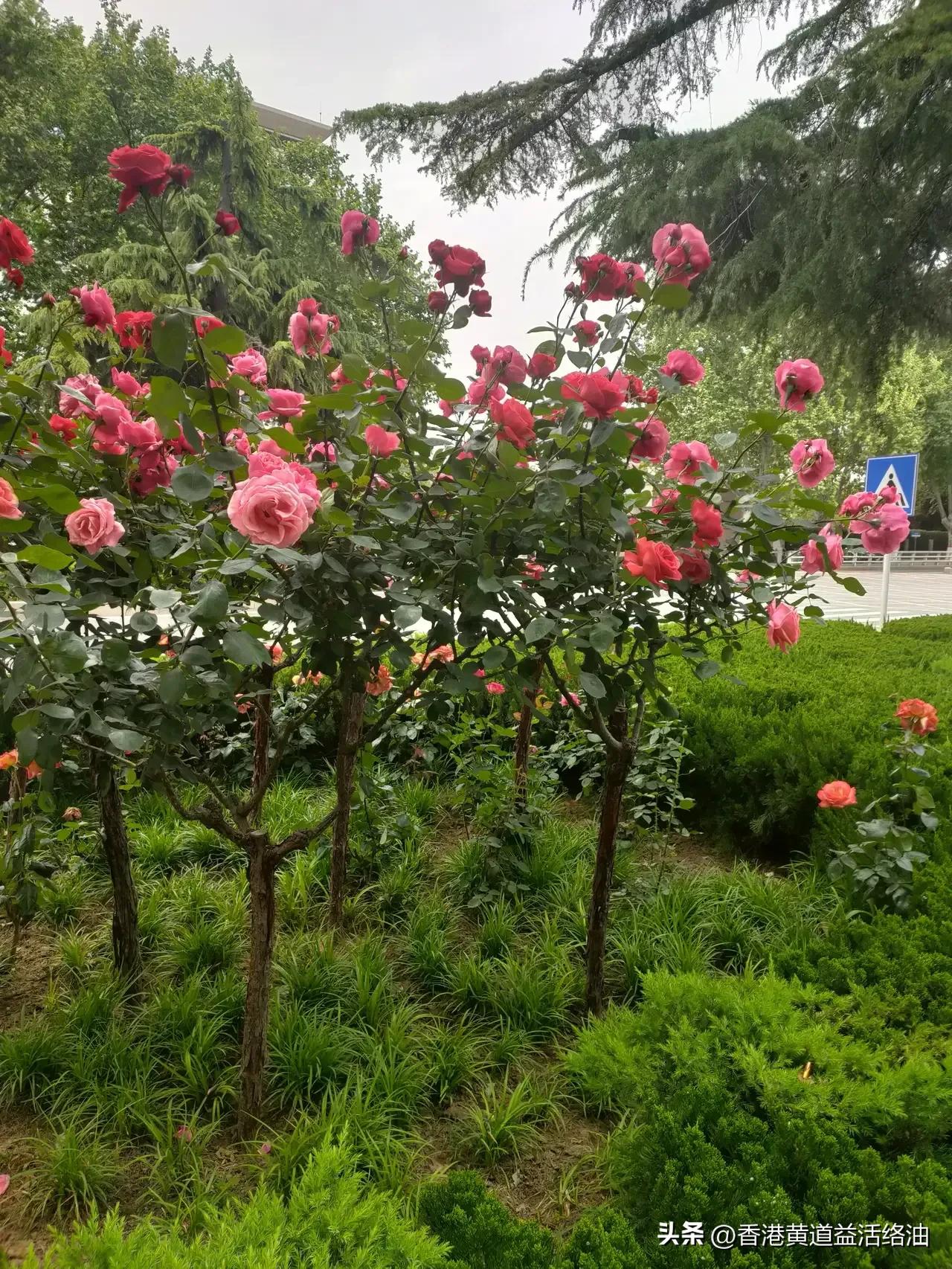 孩子交友不慎如何引导,中学生交友不慎的危害