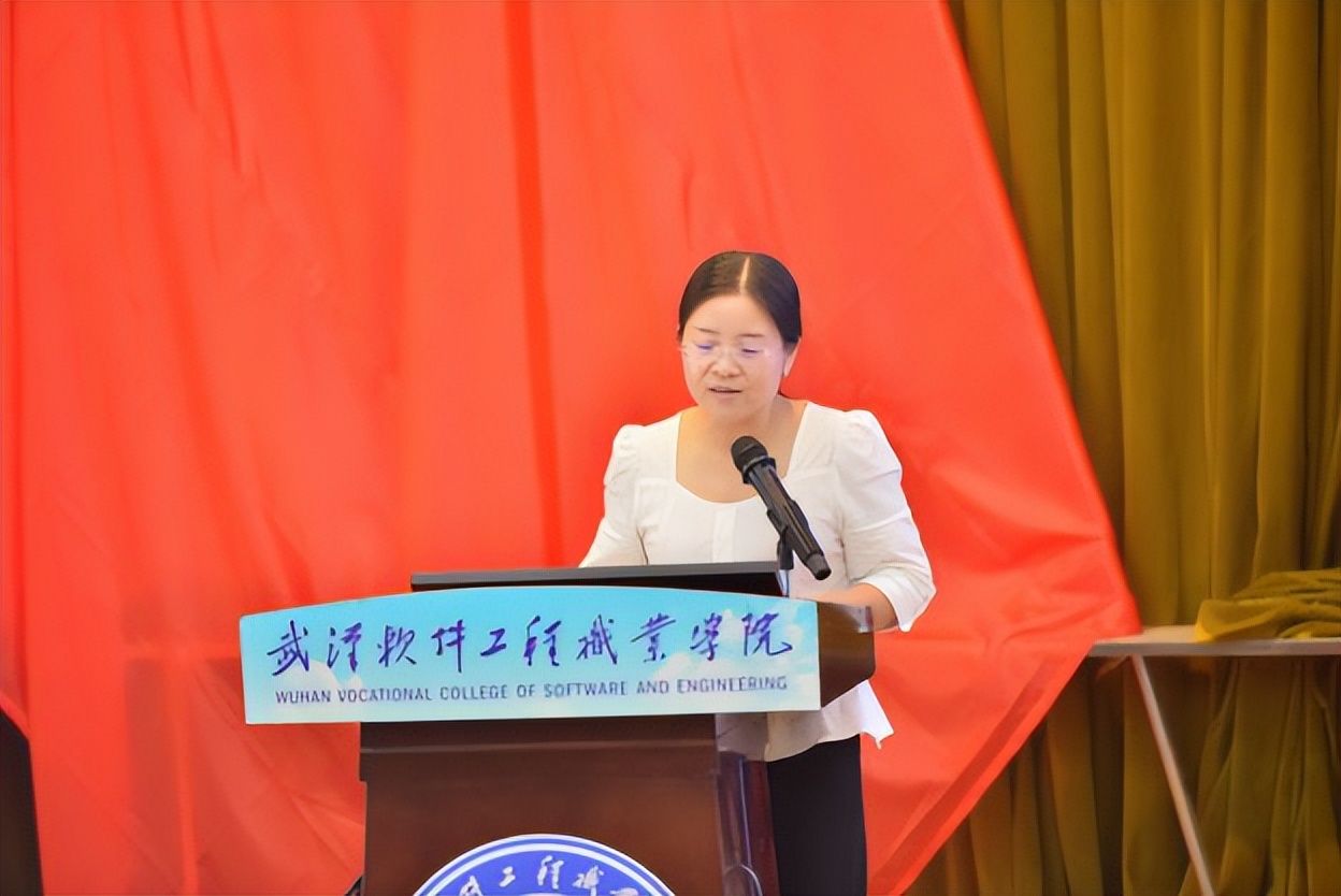 武汉表彰大会,武汉软件工程职业学院优秀学子