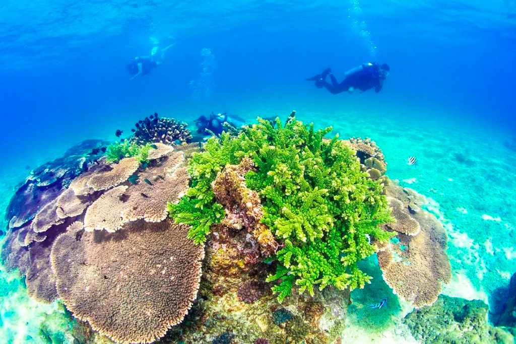 海南分界洲岛旅游区的个人主页,海南省分界洲岛海钓会所