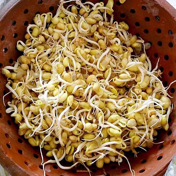 农村自生豆芽教程,在家种手工豆芽怎么做简单方便