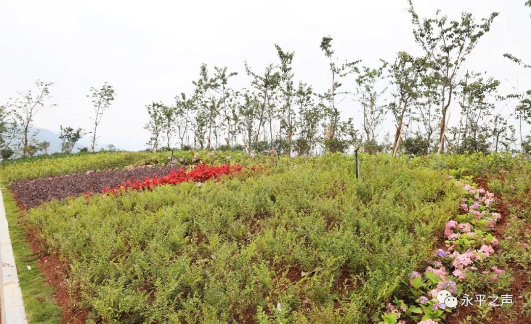 「我们的新时代」永平：组建工作专班，博南工业（物流）园区建设跑出加速度