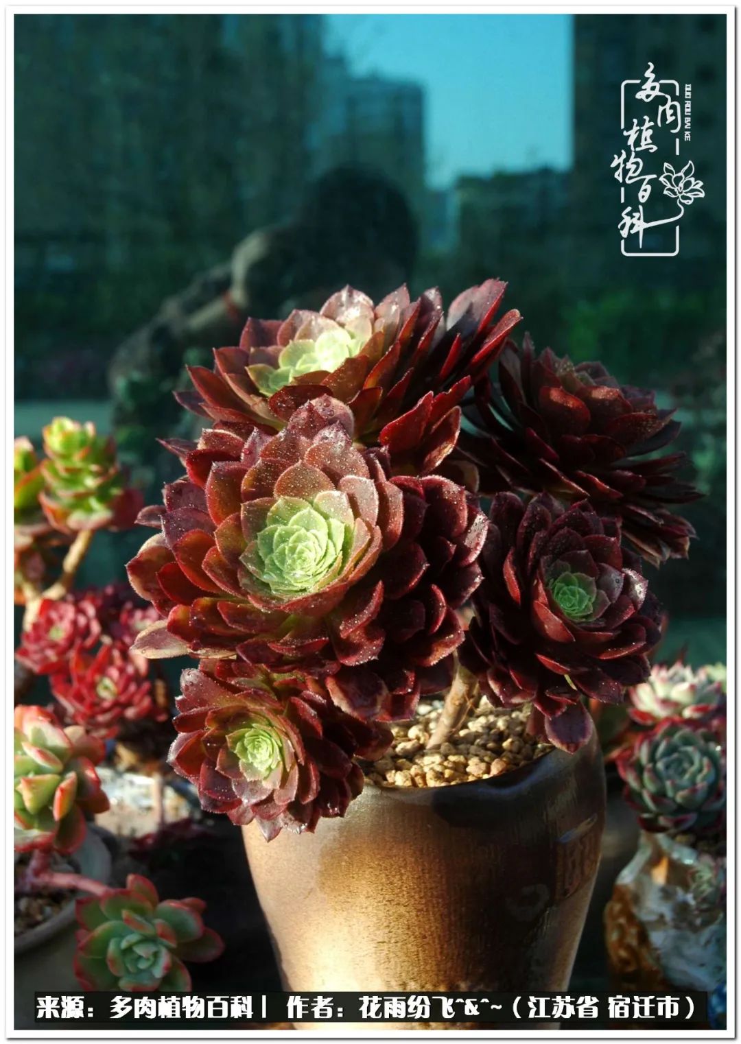 回味童年无忧无虑的快乐时光,童年最快乐的时光