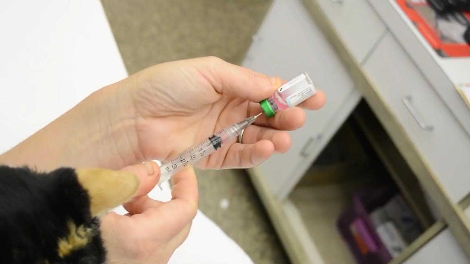 1年花掉30亿？给狗打疫苗能阻断狂犬病，为什么我们都给人打？