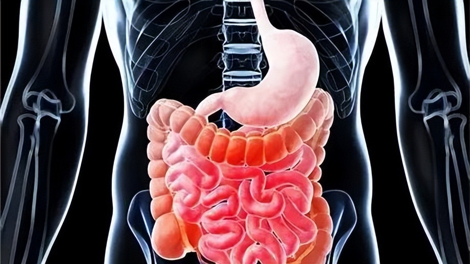 吃饱后坐着还是站着好消化,吃饱了躺着最好还是站着最好