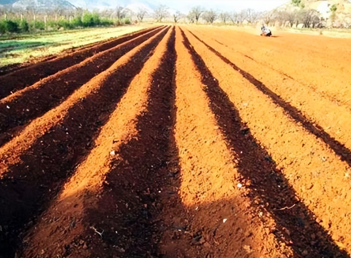 韩赵魏三家分晋的晋是什么时期,春秋战国时期的三家分晋