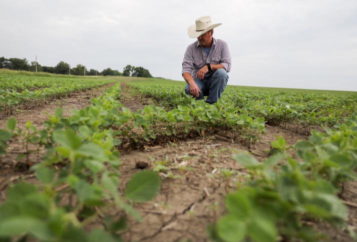 发达国家对农业多实行财政补贴,发达国家对农业的政策