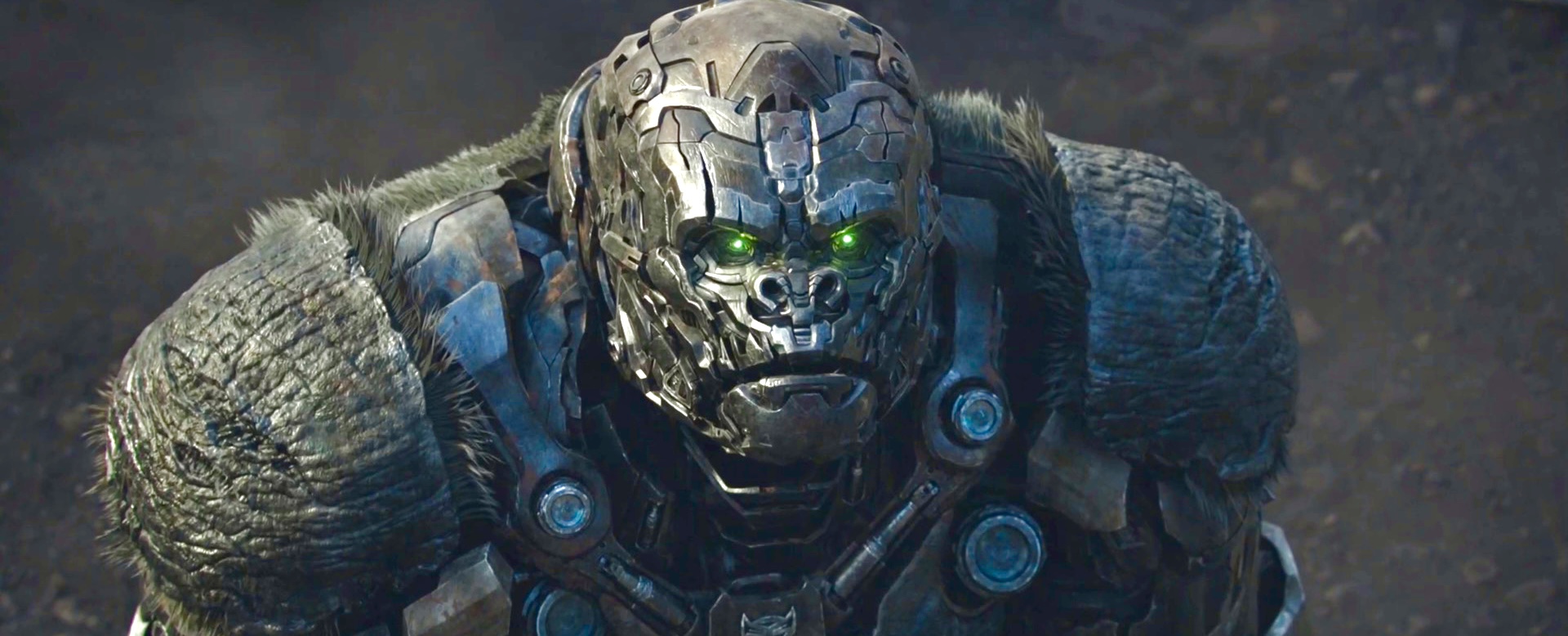 变形金刚七最大细节,盘点变形金刚中所有阵营的肉盾