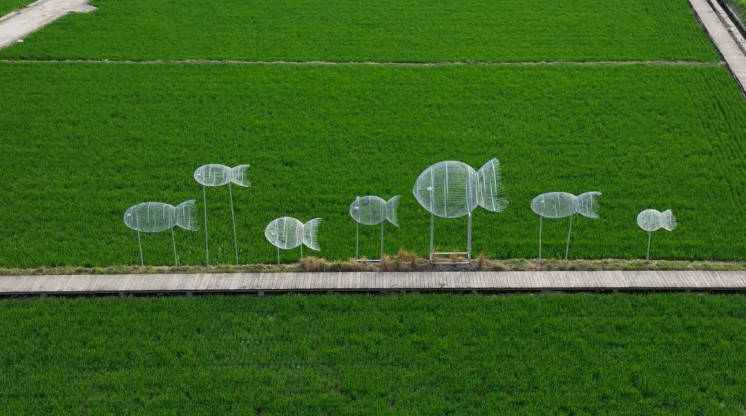 乡村振兴100讲全集,100个经典乡村振兴案例