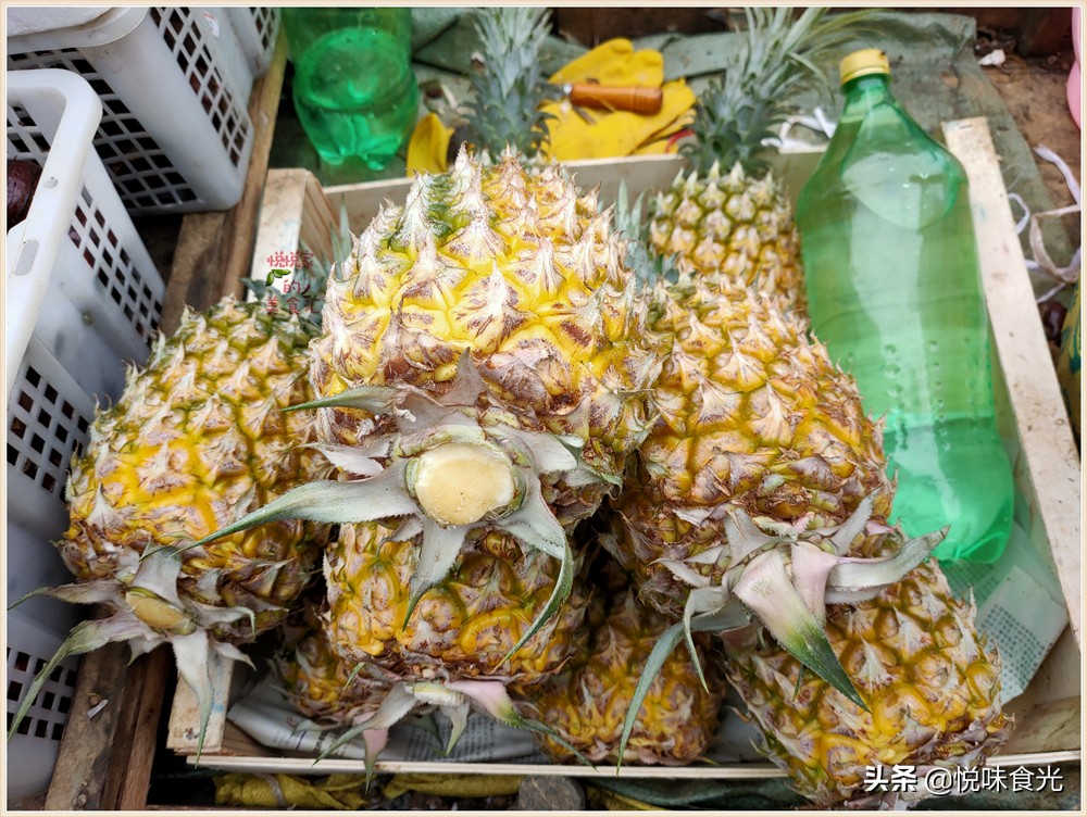 买菠萝绿的好还是黄的好,买菠萝青皮还是黄皮