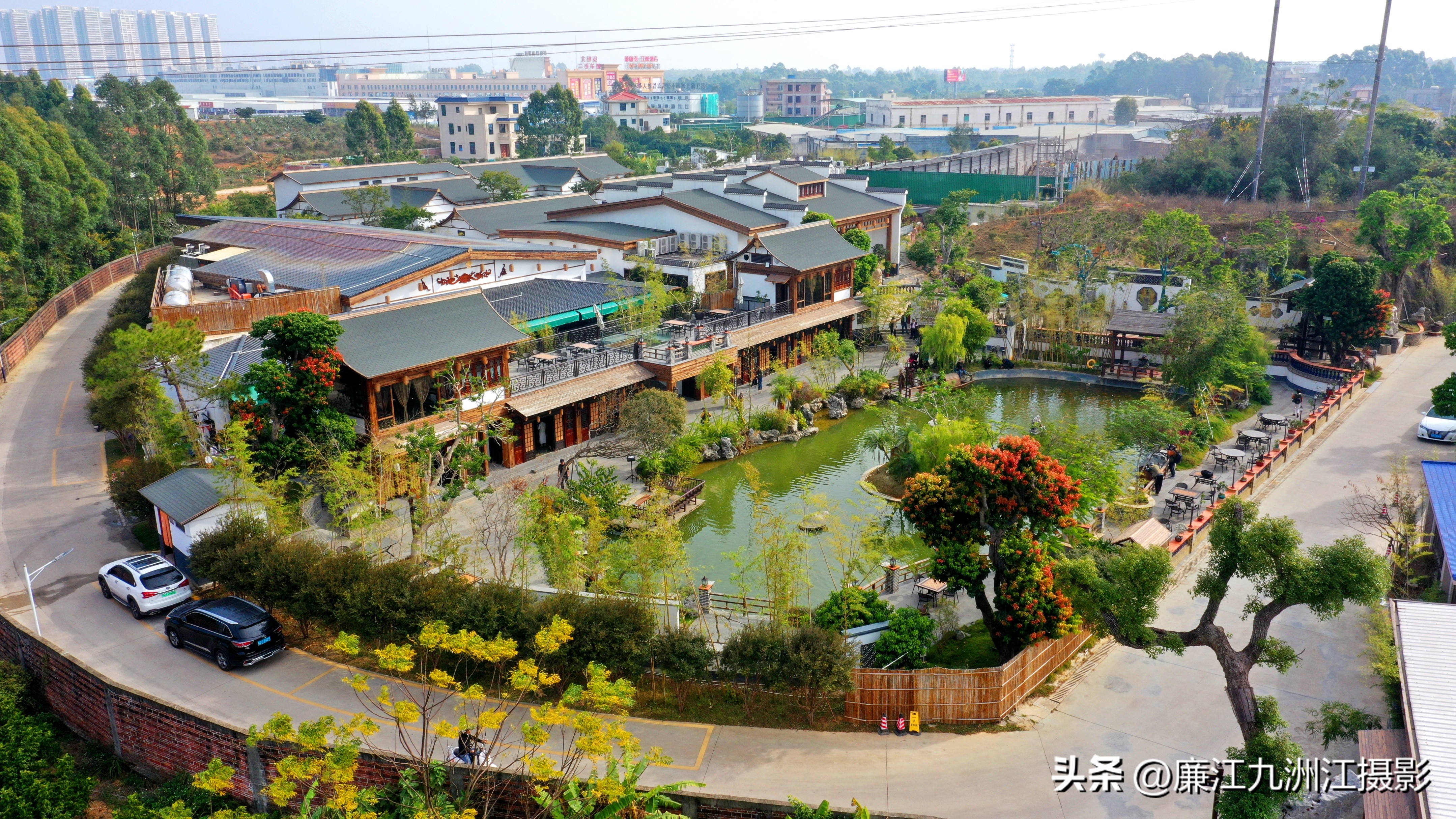 最高端的盆景展,一场惊艳的盆景展