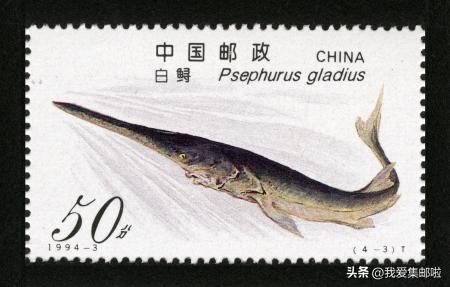 十大濒危动物国际珍惜动物保护日,世界动物日科普视频