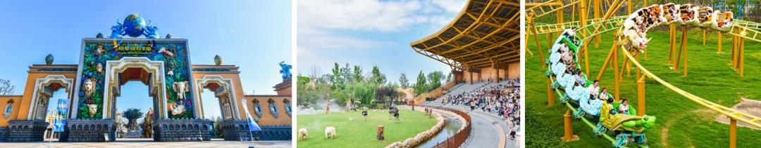 诚邀您的球队参加2023耐克运动营夏季足球邀请赛