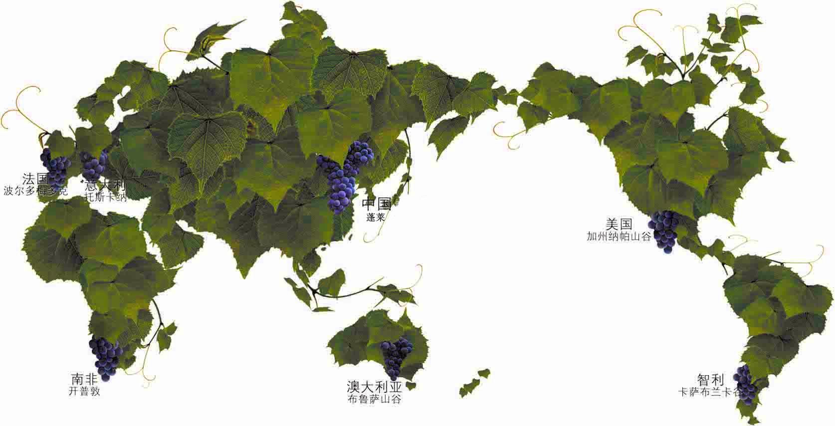 葡萄酒与文化旅游产业融合发展,葡萄酒产业助力打造文旅融合新ip