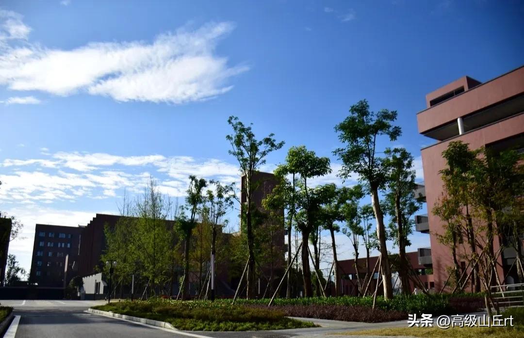 电子科技大学实验中学招生人数,电子科技大学实验中学怎么样