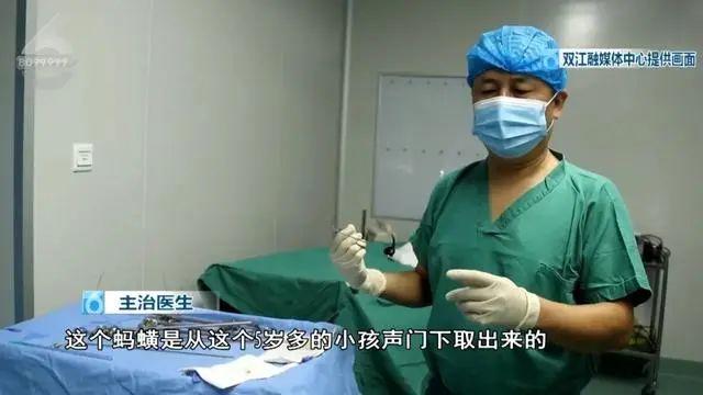 蚂蟥吃到肚子里会存活吗,不小心把蚂蟥吞到肚子里怎么办