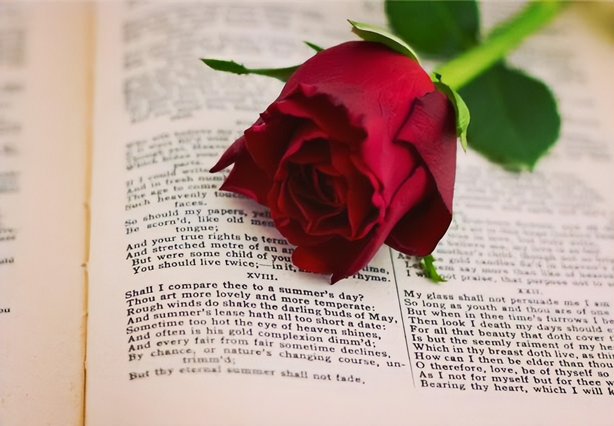 我和文学有个约定,我和文学相遇