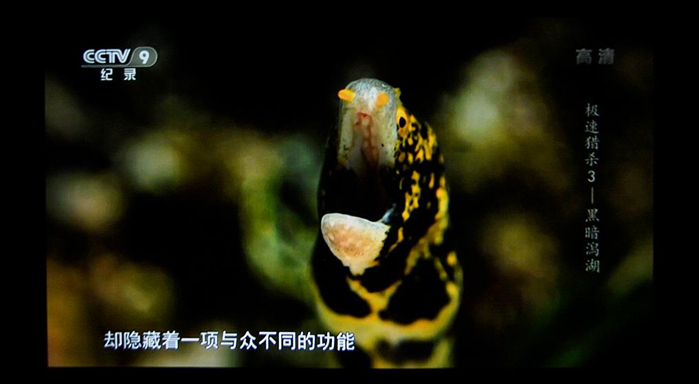 推荐一款既实用又实惠的投影,知麻投影机哪个最好用